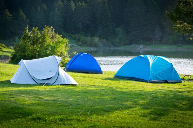 Forest Tent Pitches Experience