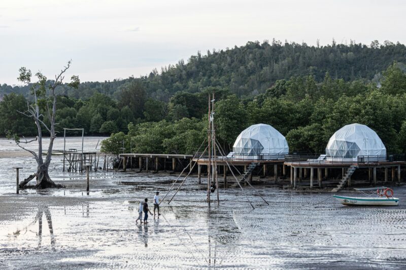 Luxury Geodome Forest Experience