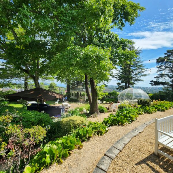 Luxury Geodome Forest Experience