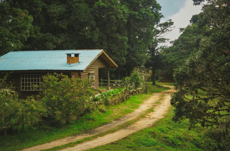 Forest Cabin Retreat