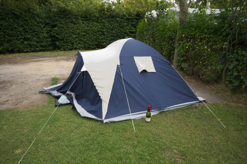 Forest Tent Pitches Experience