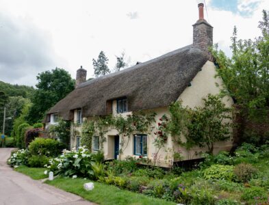 Cozy Forest Cottages Retreat