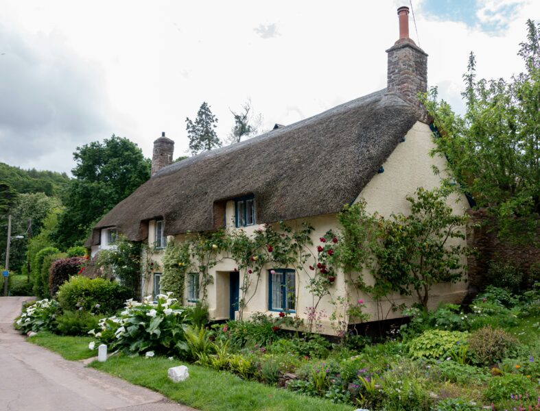 Cozy Forest Cottages Retreat