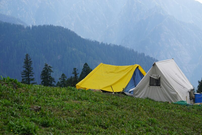 Forest Tent Pitches Experience