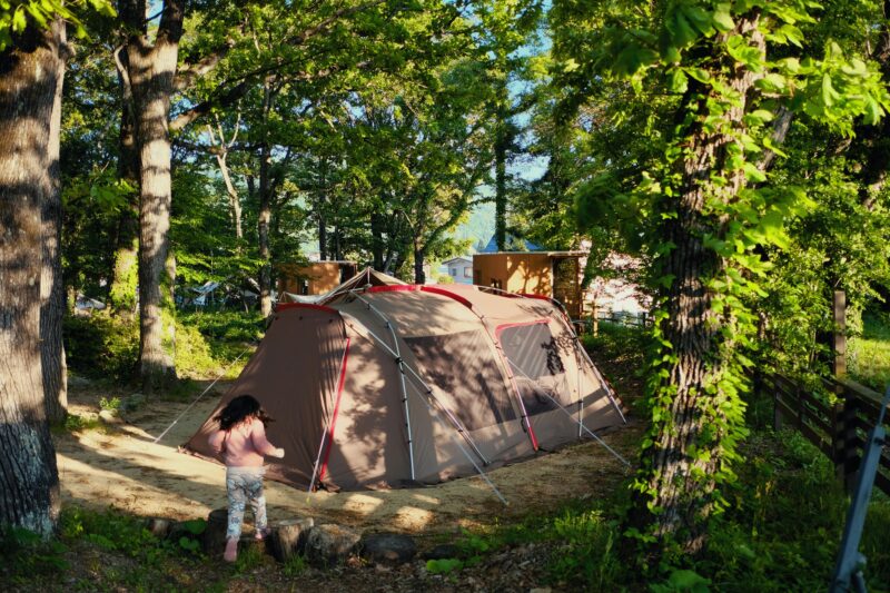 Forest Tent Pitches Experience
